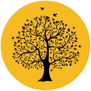 daily meditation