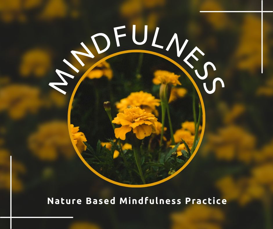 Nature Based Mindfulness Practice